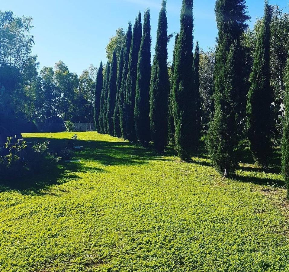 Il Piccolo Borgo Apartamento Montalto di Castro Exterior foto