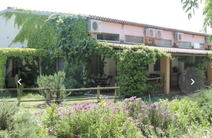 Il Piccolo Borgo Apartamento Montalto di Castro Exterior foto