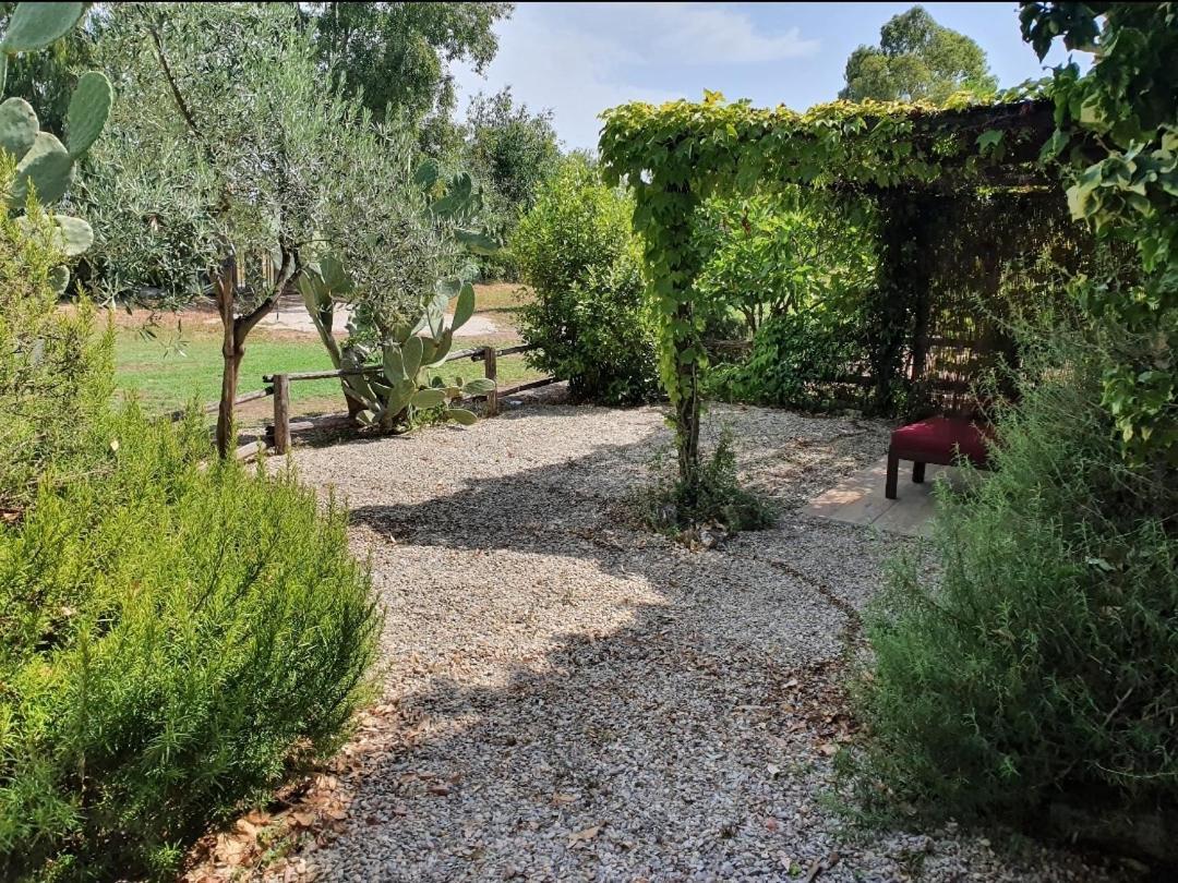 Il Piccolo Borgo Apartamento Montalto di Castro Exterior foto